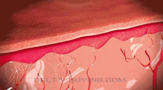 Image Title My Image